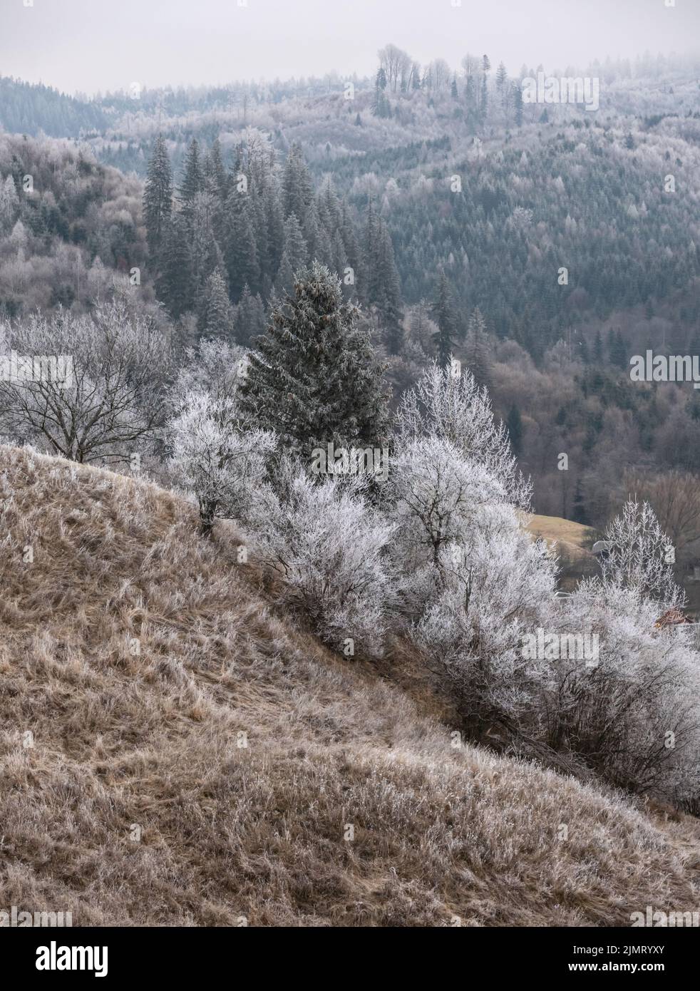 Winter coming. Cloudy and foggy morning very late autumn mountains scene. Peaceful picturesque traveling, seasonal, nature and c Stock Photo