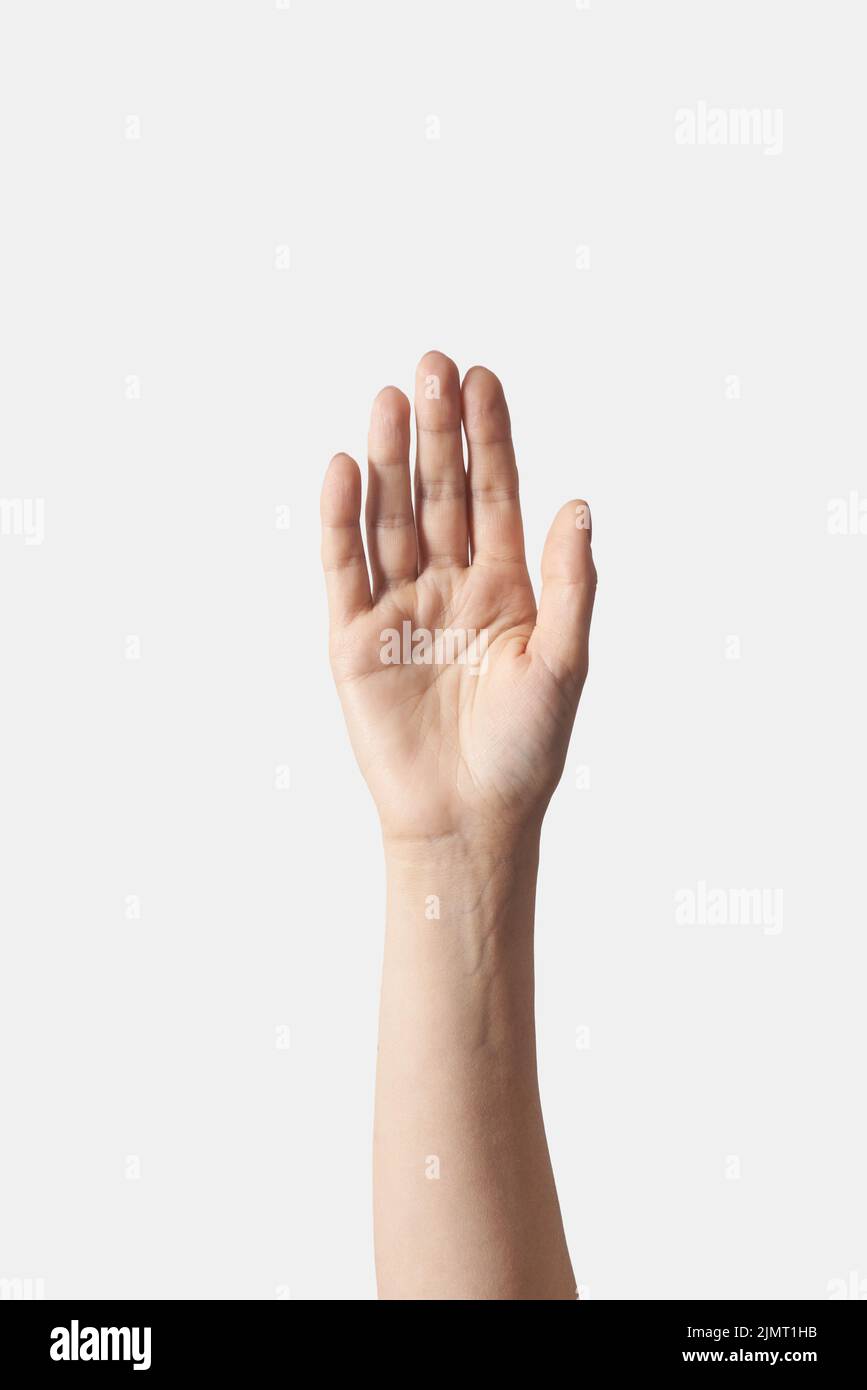 Reaching up or begging female hand on white Stock Photo - Alamy