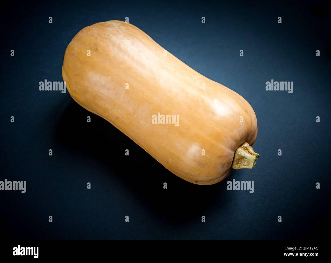 Butternut squash isolated on black background Stock Photo