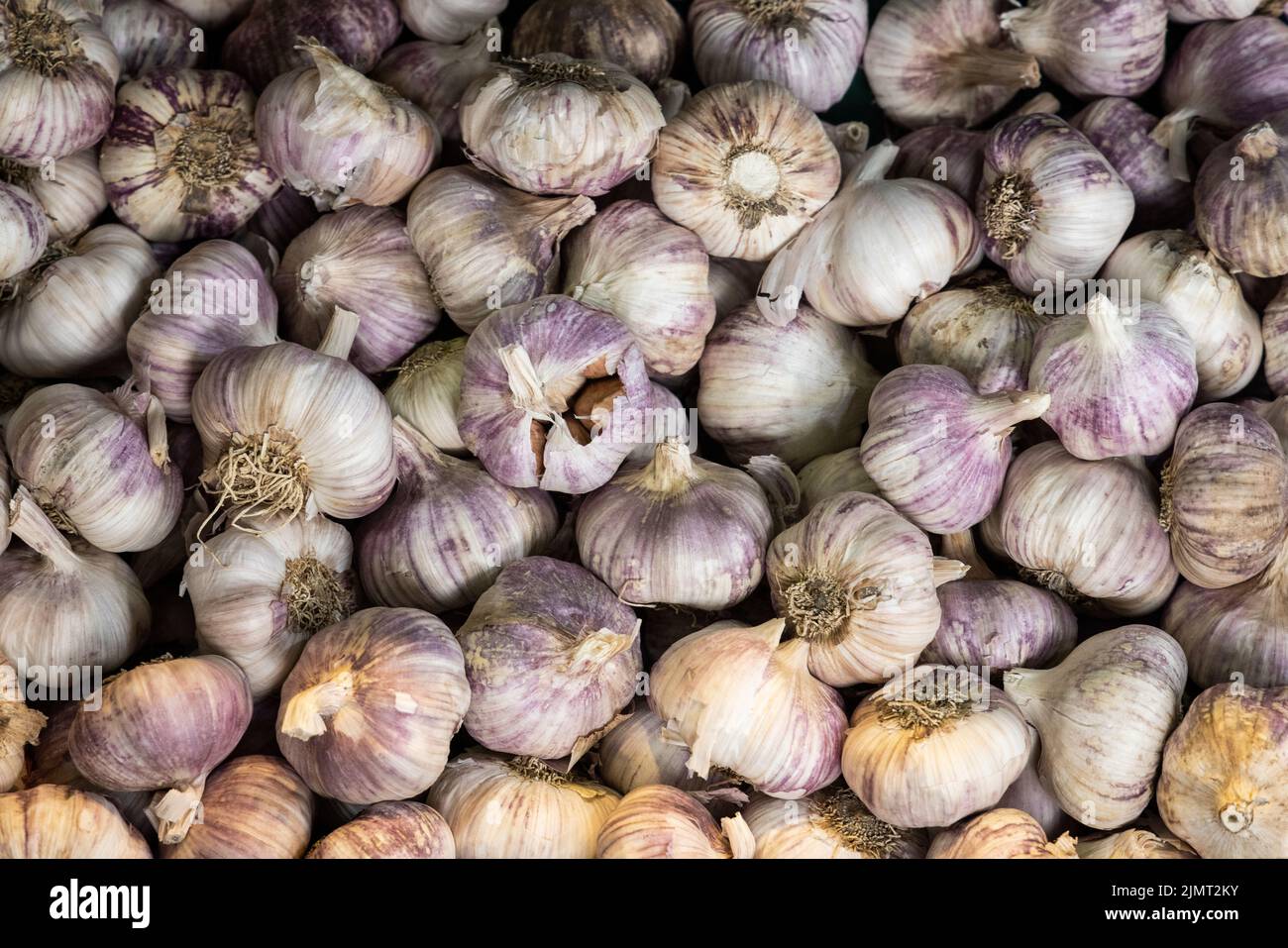 Fresh garlic at a local farmers’ food market Stock Photo