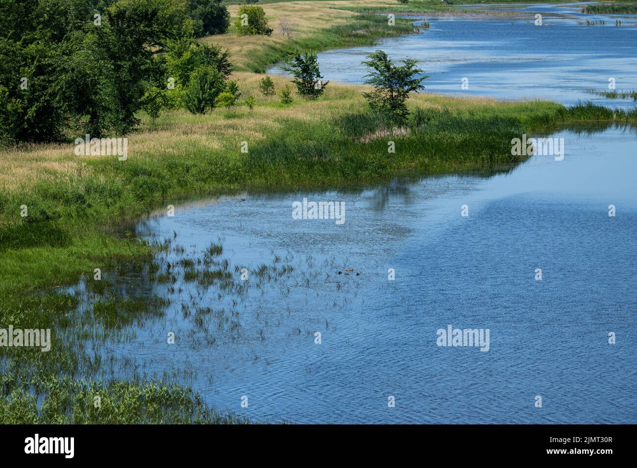 Beautiful freshwater marsh along the St. Lawrence River in summertime Stock Photo