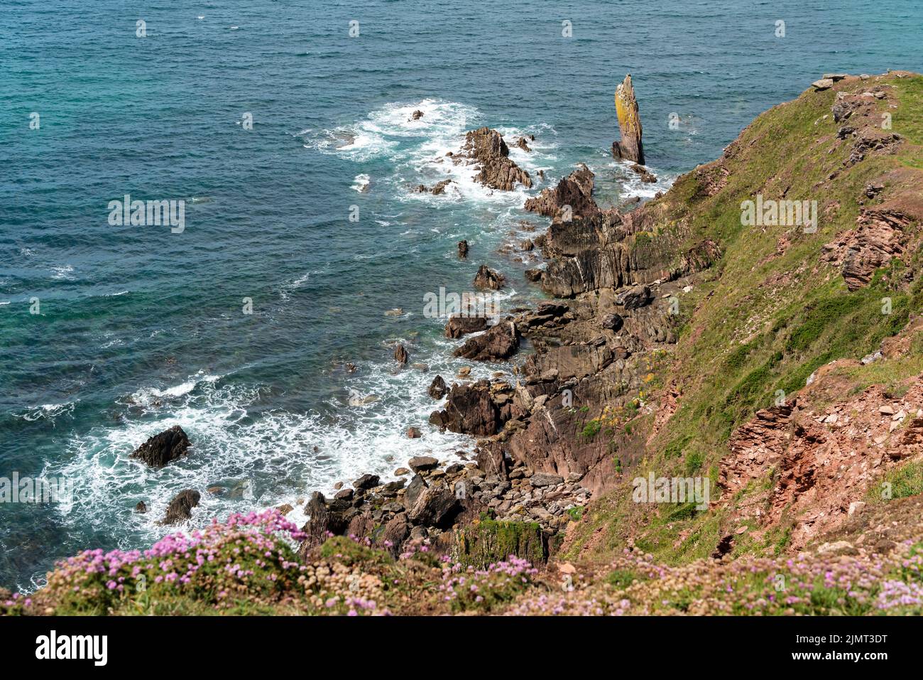 Wild rocky coast near Thurlestone in Devon Stock Photo