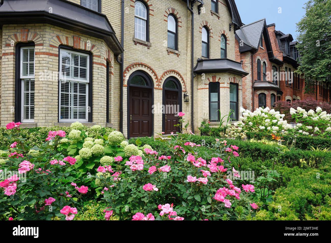 Well preserved Victorian row houses with beautiful flowers in front garden Stock Photo