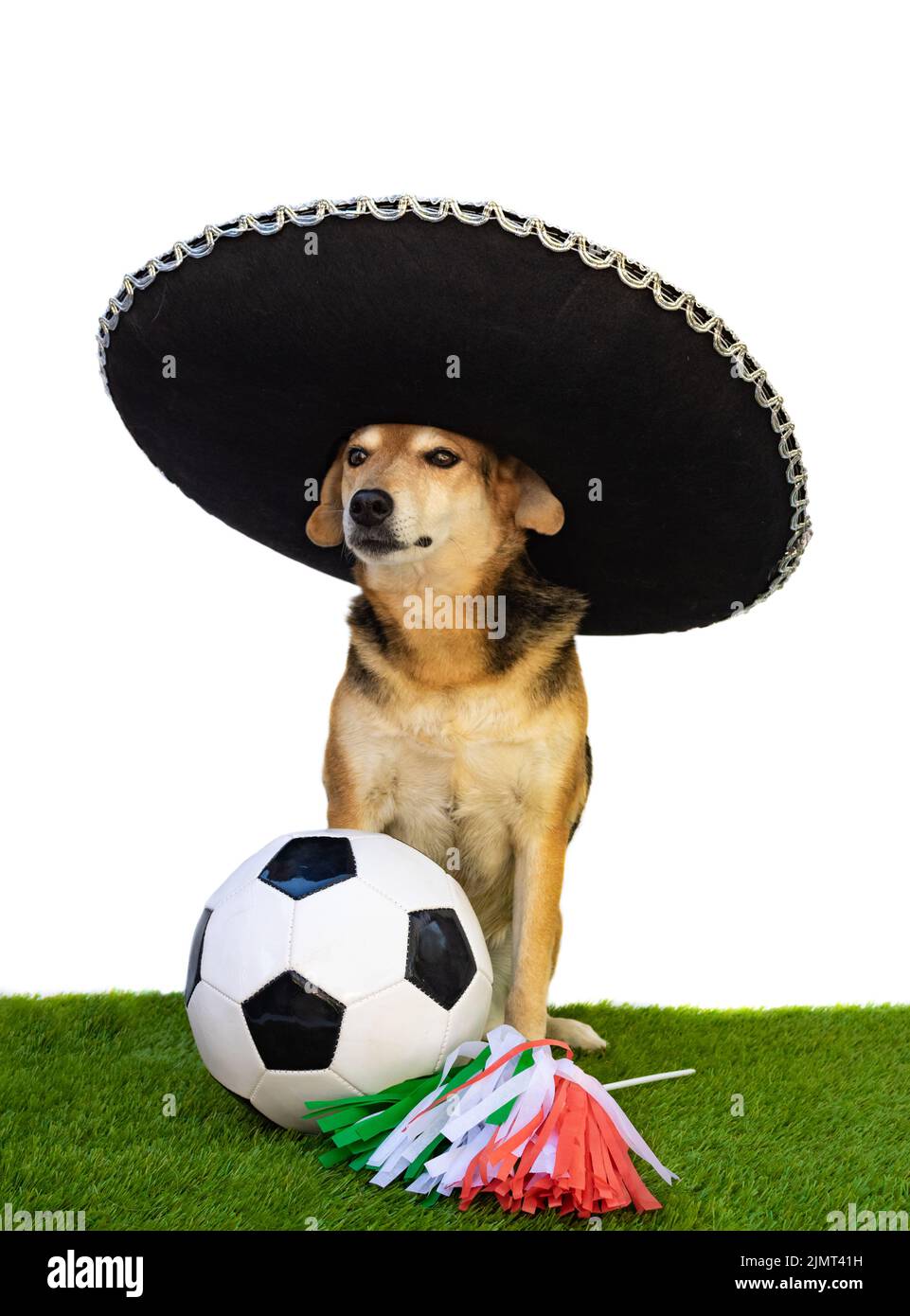 Mexican dog hires stock photography and images Alamy
