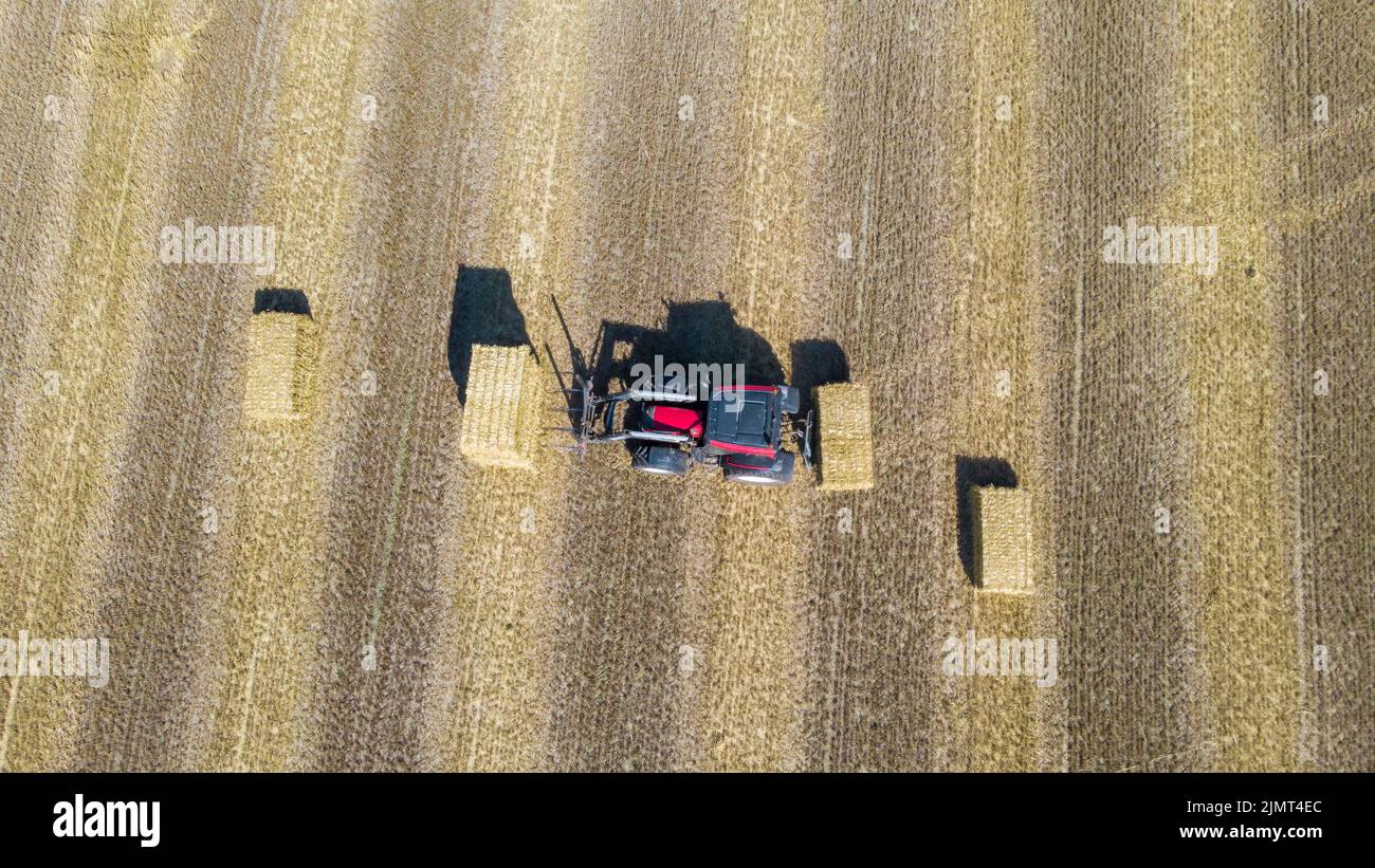 Harvesting machinetractor working in the field. Top view from the drone Combine harvester agricultural machine ride in the field Stock Photo