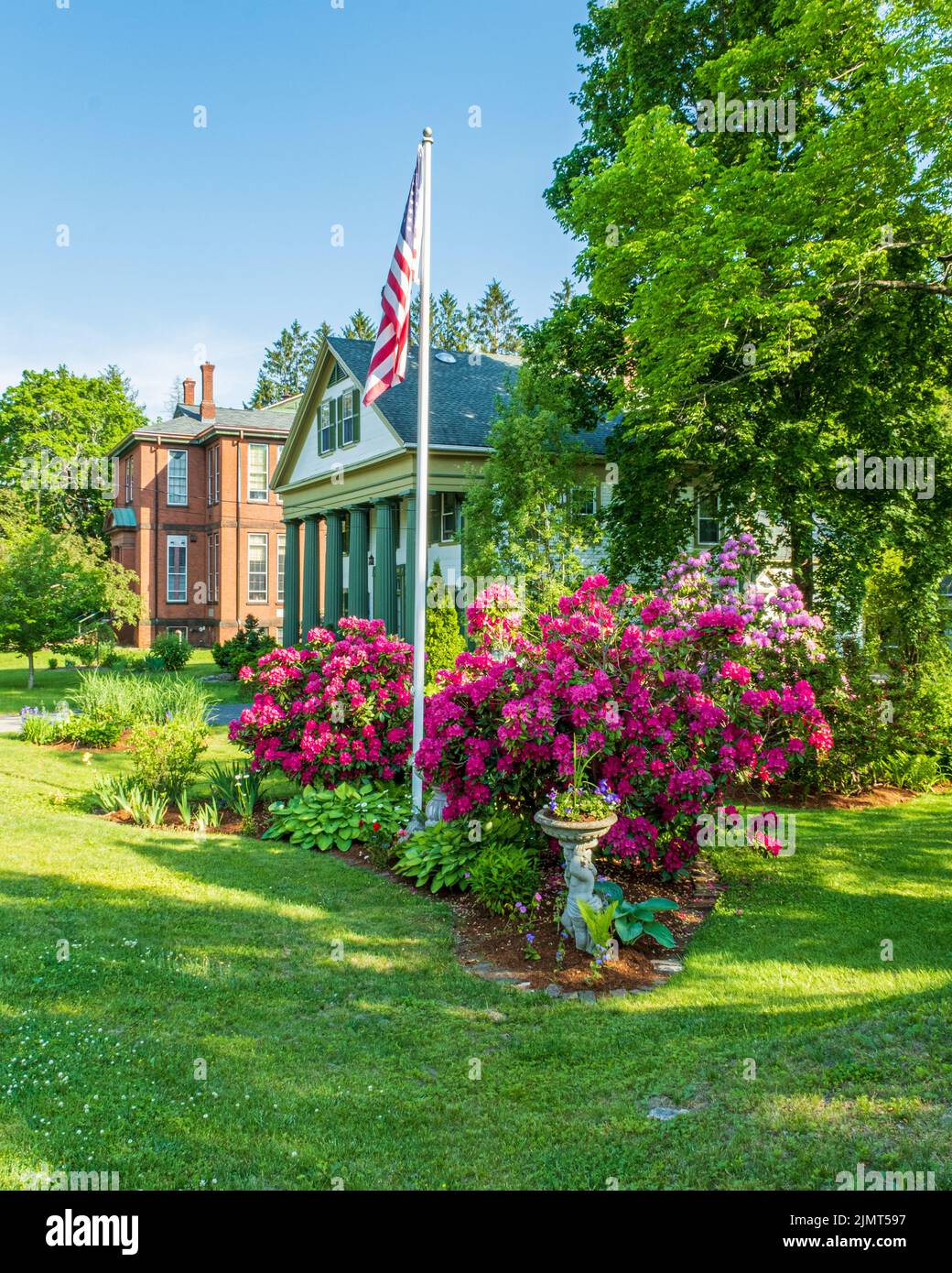 Beautiful rhododendrons blooming at The Jenkins Inn in Barre, MA Stock Photo