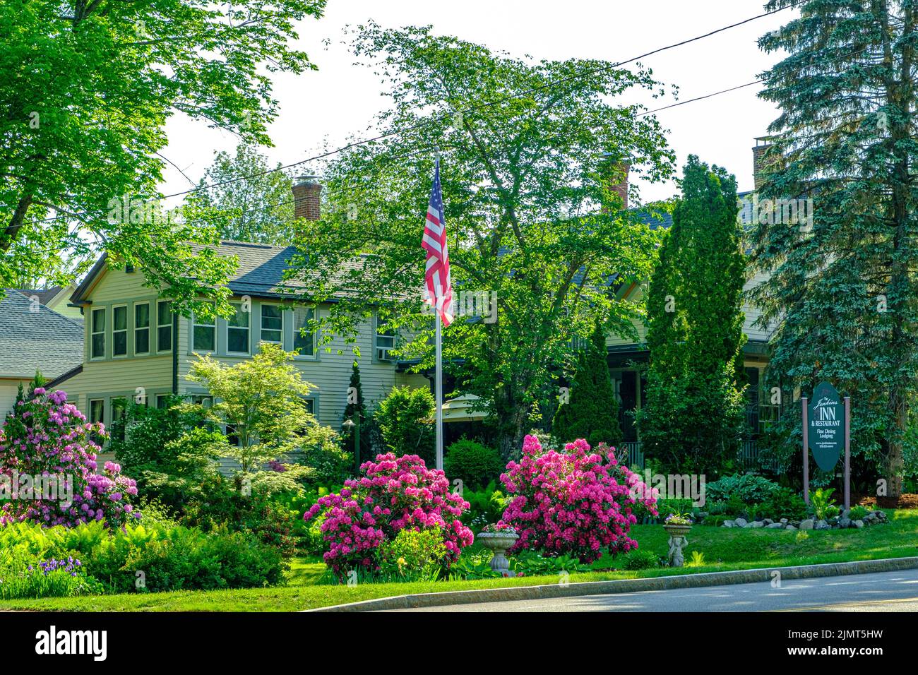Beautiful rhododendrons blooming at The Jenkins Inn in Barre, MA Stock Photo