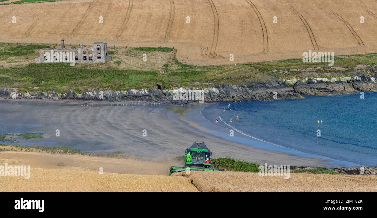 Barley Harvest at Howe Strand, Kilbrittain, Co. Cork Stock Photo Alamy