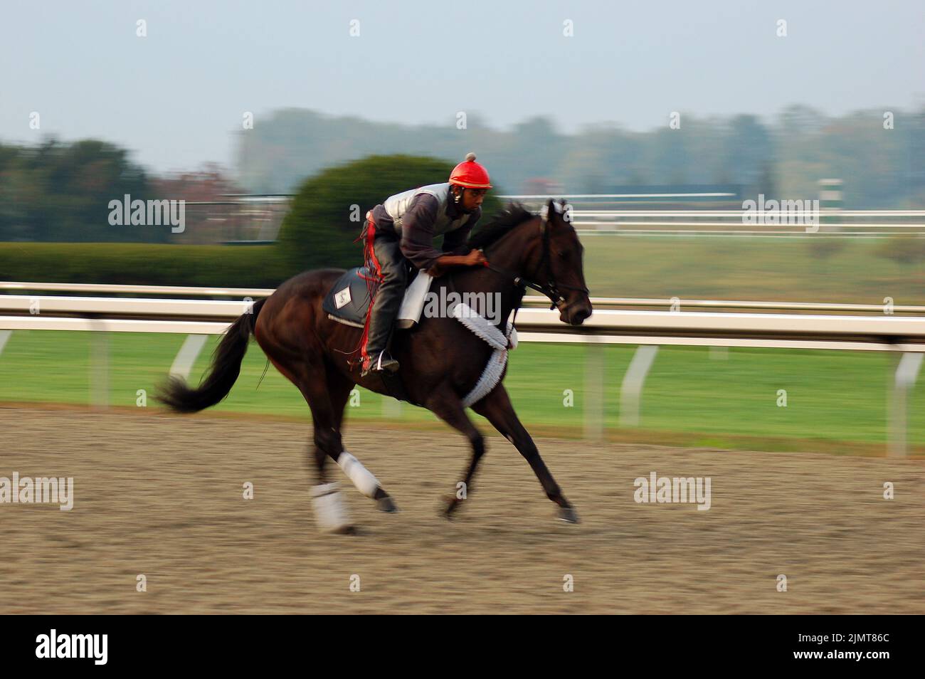 A jockey takes a thoroughbred racehorse on the track in Lexington, Kentucky for the early morning workout and exercises before the race Stock Photo