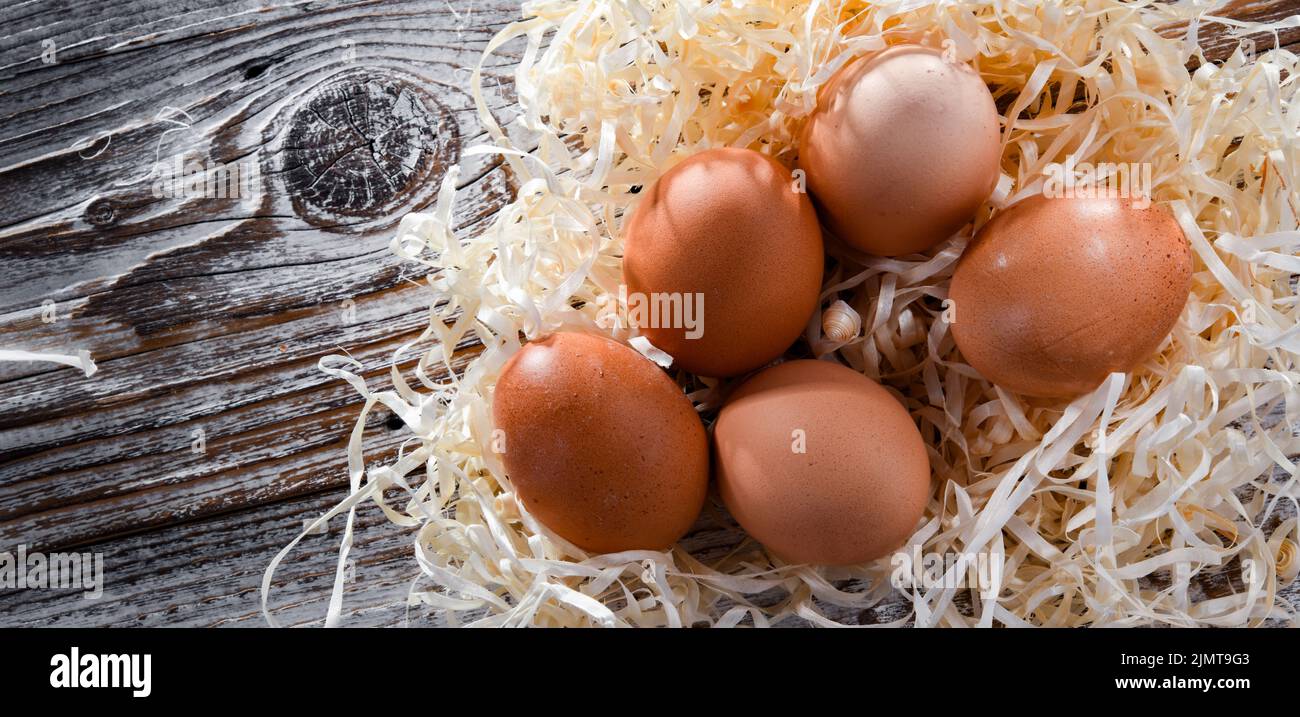 Composition with five chicken eggs on wood. Stock Photo