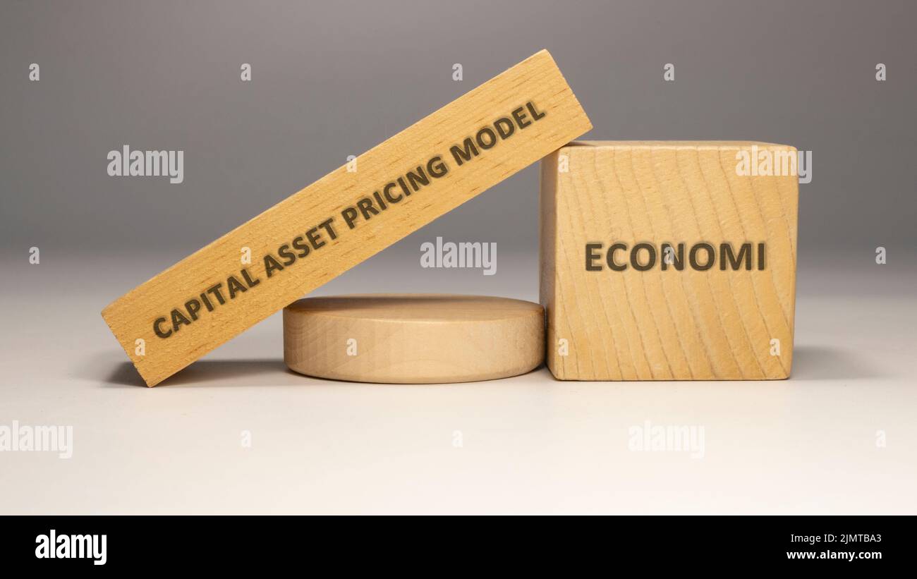 Capital asset pricing model written on wooden surface. economy and business Stock Photo