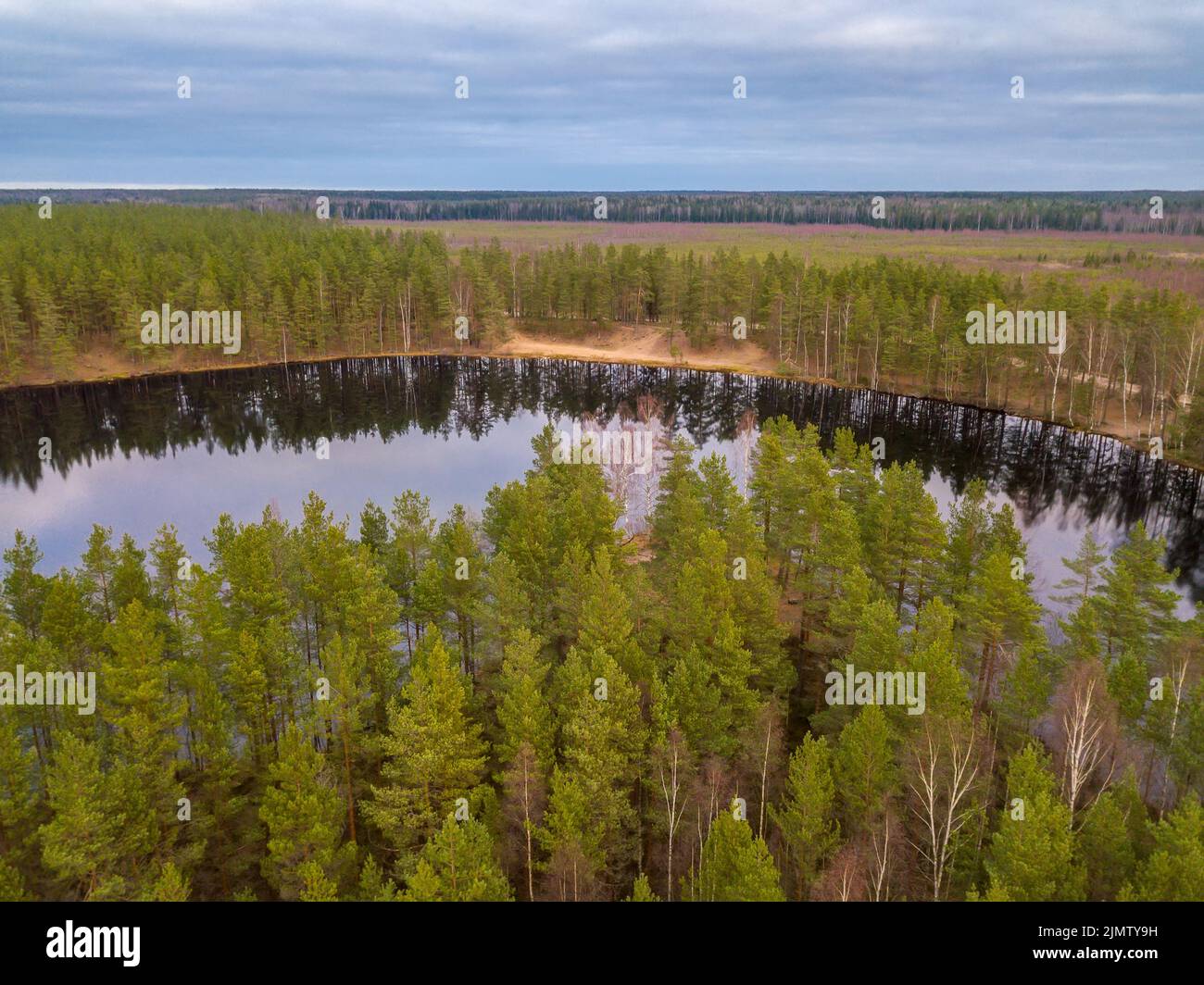 Aerial view autumn forest pine hi-res stock photography and images - Alamy