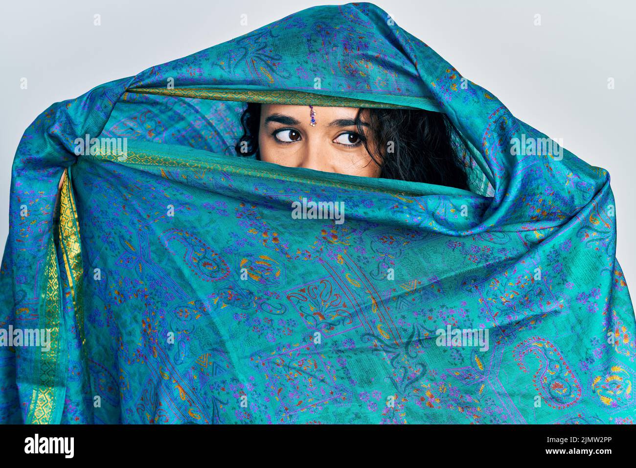 Confident Indian Woman Wearing Saree Dress Stock Photo - Image of female,  hindu: 136051068