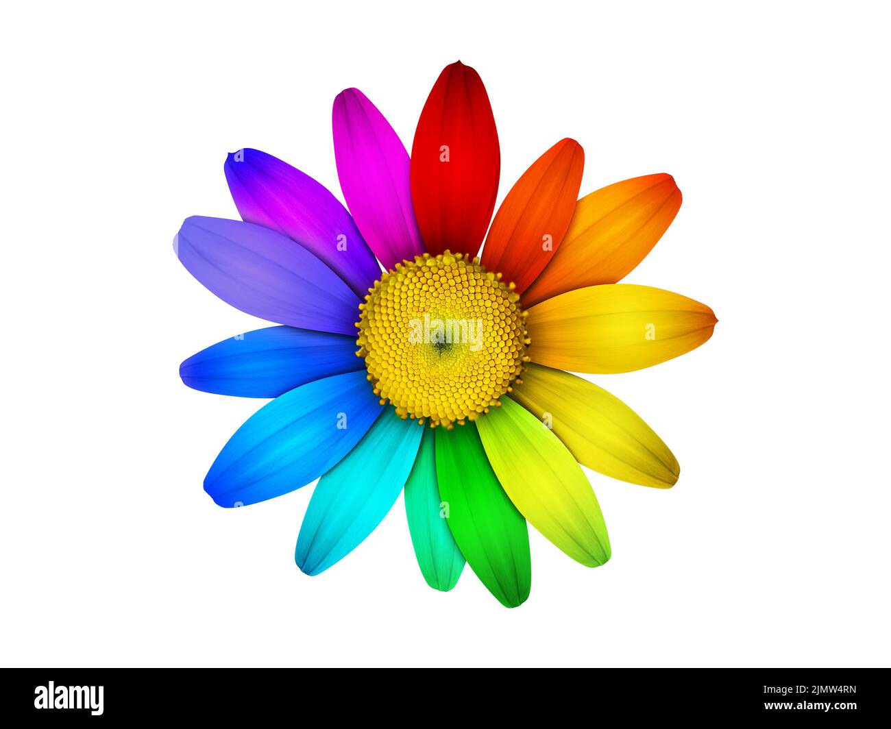 Rainbow Chamomile Design Background Stock Photo
