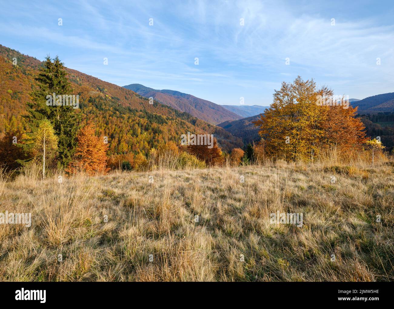 Autumn morning Carpathian Mountains calm picturesque scene, Ukraine. Peaceful traveling, seasonal, nature and countryside beauty Stock Photo
