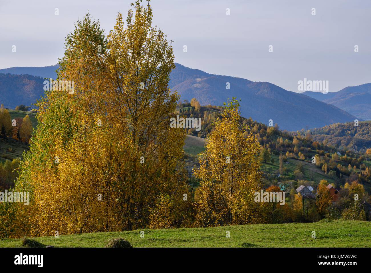 Autumn morning Carpathian Mountains calm picturesque scene, Ukraine ...