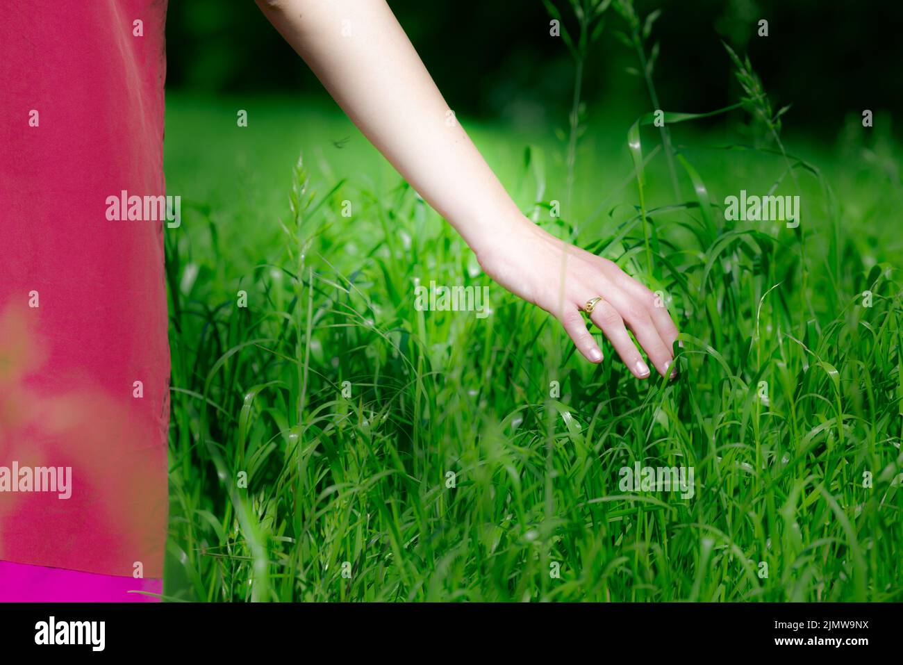 female hand, touch, grass Stock Photo