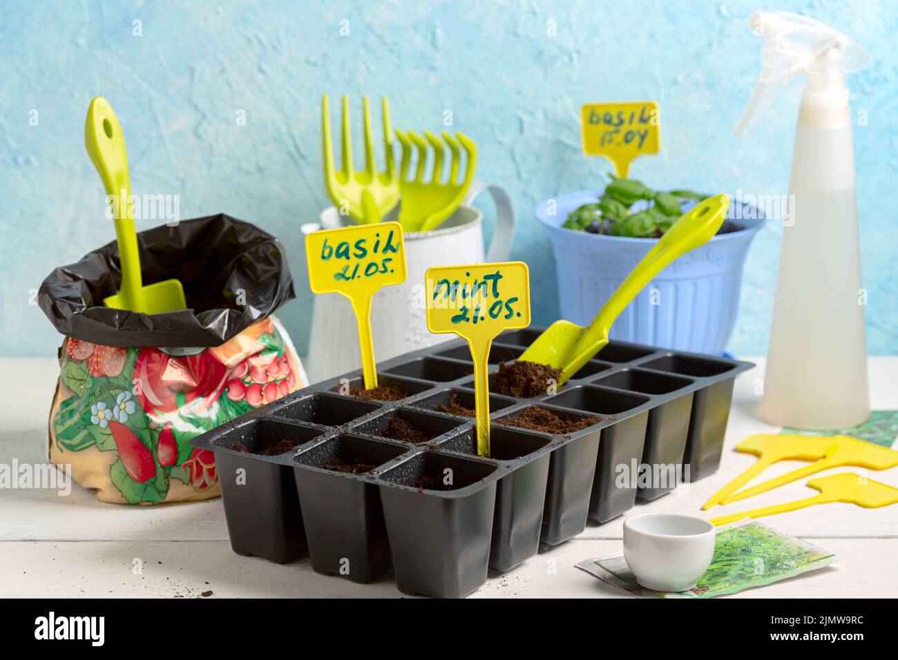 Tray with pots for seeds for sprouting herbs. Stock Photo