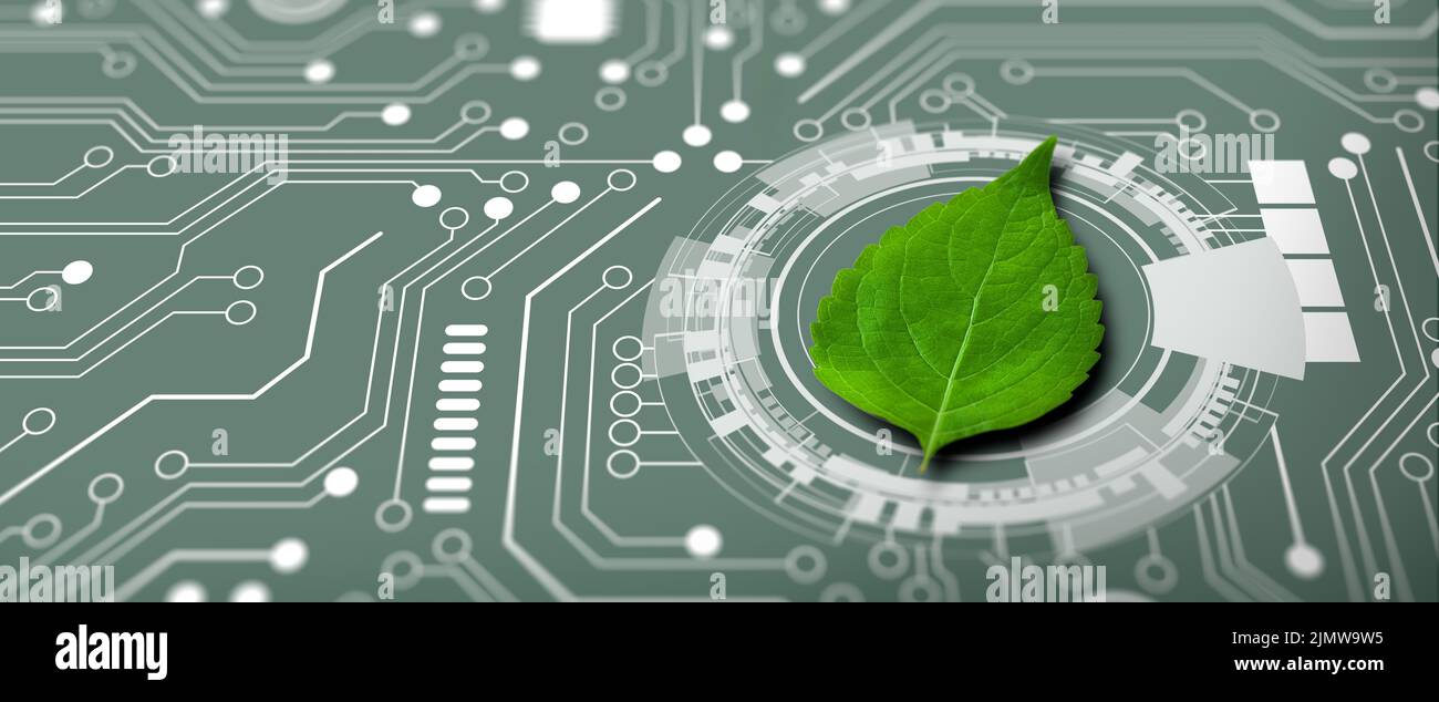 Green leaf on the converging point of computer circuit board. Nature with Digital Convergence and Technological Convergence. Green Computing. Stock Photo