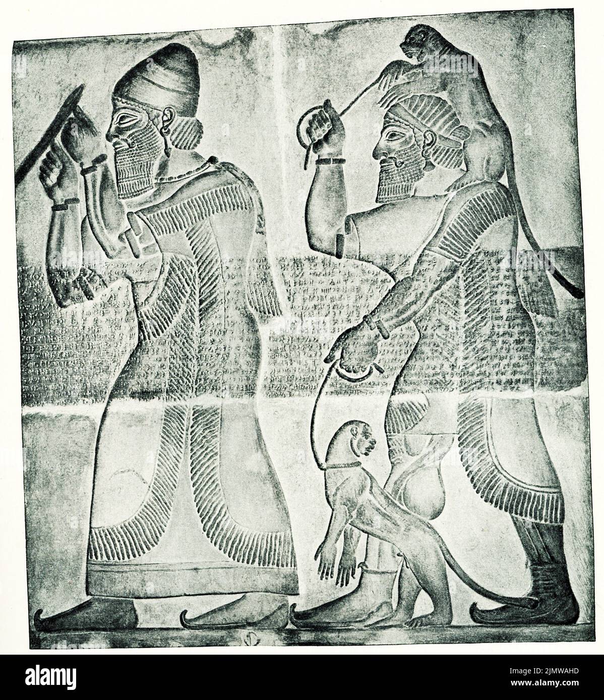 The 1910 caption reads a prince from Musri bringing tribute to the Assyrian king.  The relief is in the Mritish Museum in London. Stock Photo