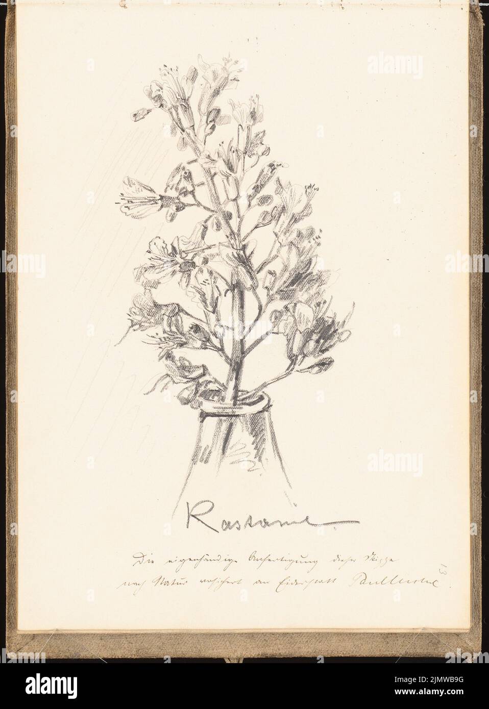 Michel Paul sen. (1877-1938), sketchbook. 1899 (1898-1898): Chestnut branch in a vase. Pencil on paper, 25.2 x 18.6 cm (including scan edges) Michel Paul sen.  (1877-1938): Skizzenbuch. 1899 Stock Photo