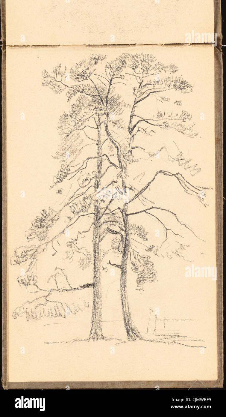 Michel Paul sen. (1877-1938), sketchbook. 1915 France (04.03.1915): Two trees in the landscape, perspective view. Pencil on paper, 28 x 16.3 cm (including scan edges) Michel Paul sen.  (1877-1938): Skizzenbuch. 1915 Frankreich Stock Photo