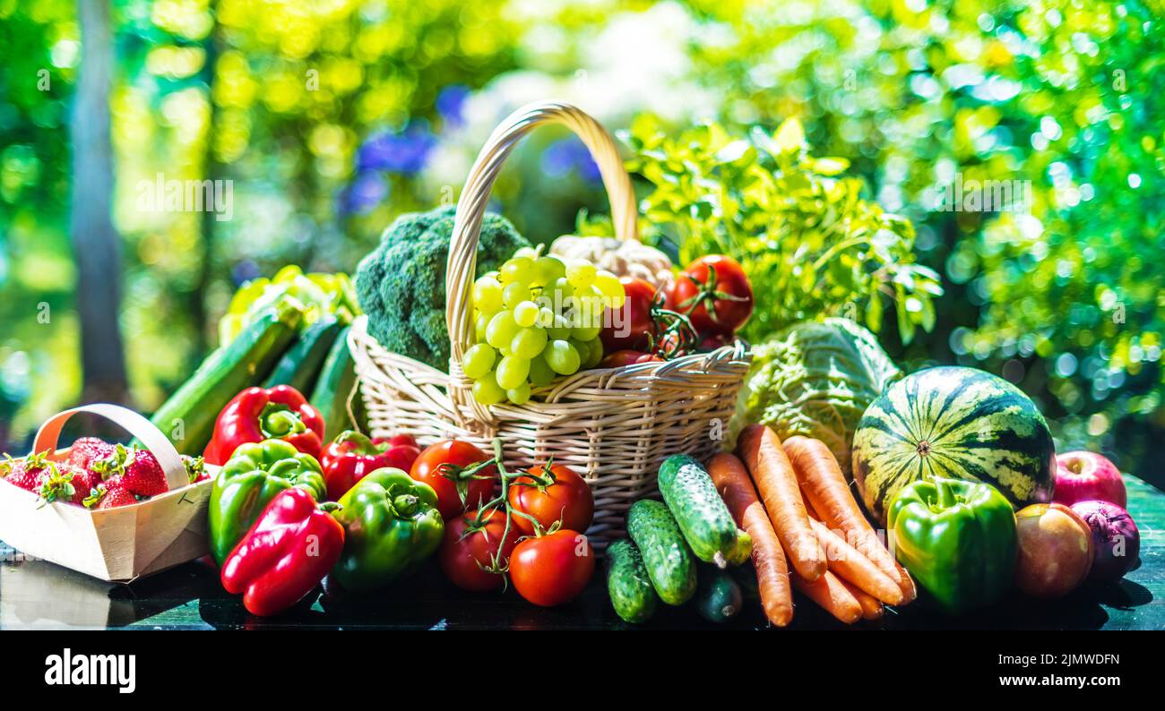Normal Vegetables Variety of fresh organic vegetables and fruits in the garden. Balanced ...