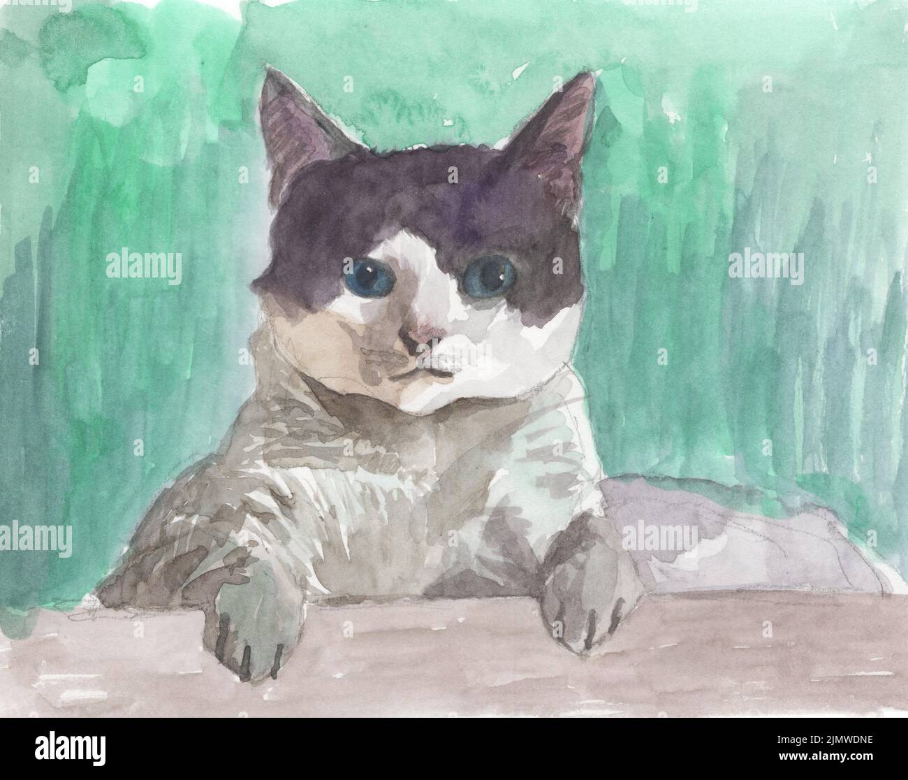 cat watercolor painting art illustration Stock Photo