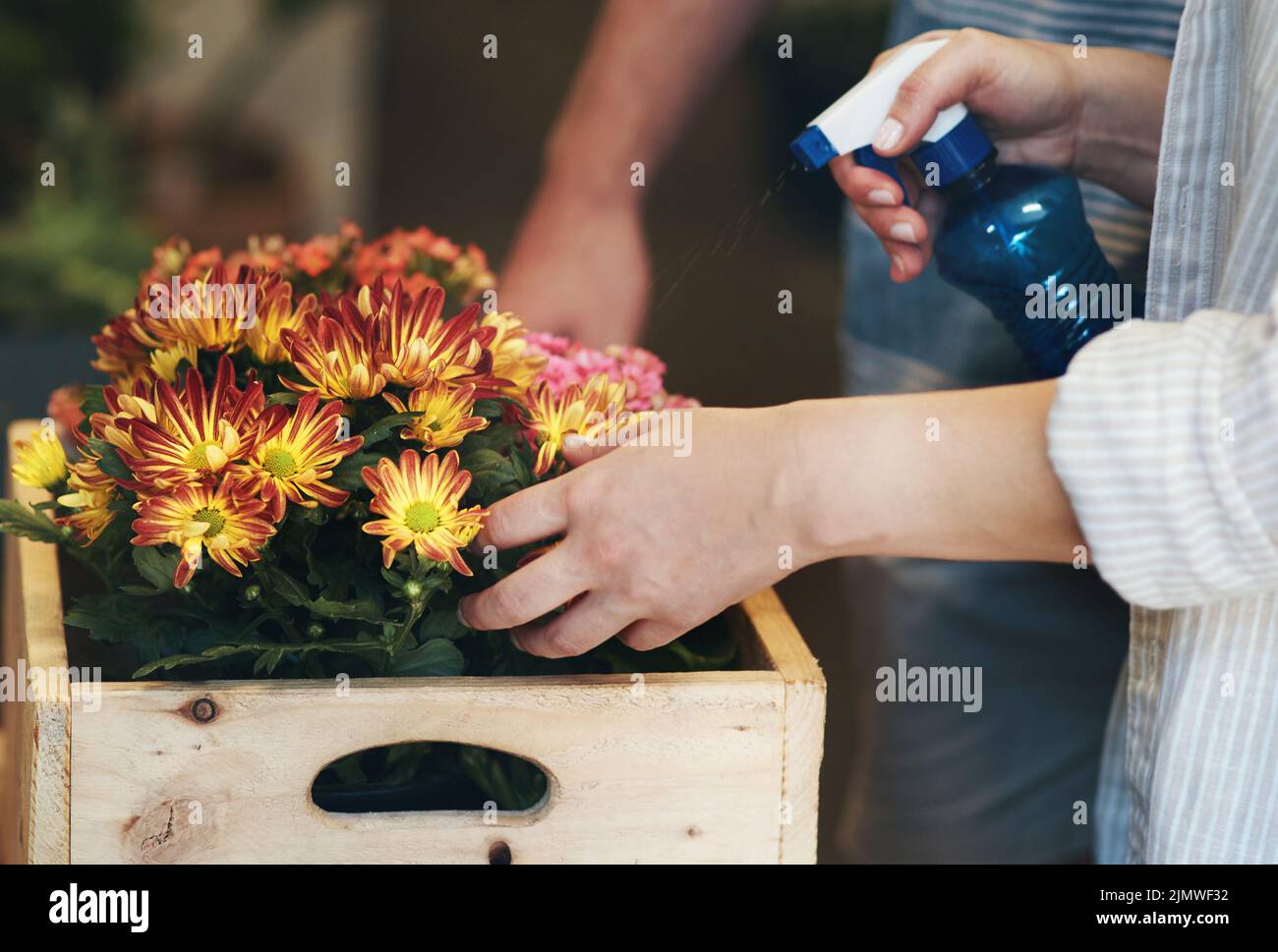 Growing flowers need the right amount of water everyday. two