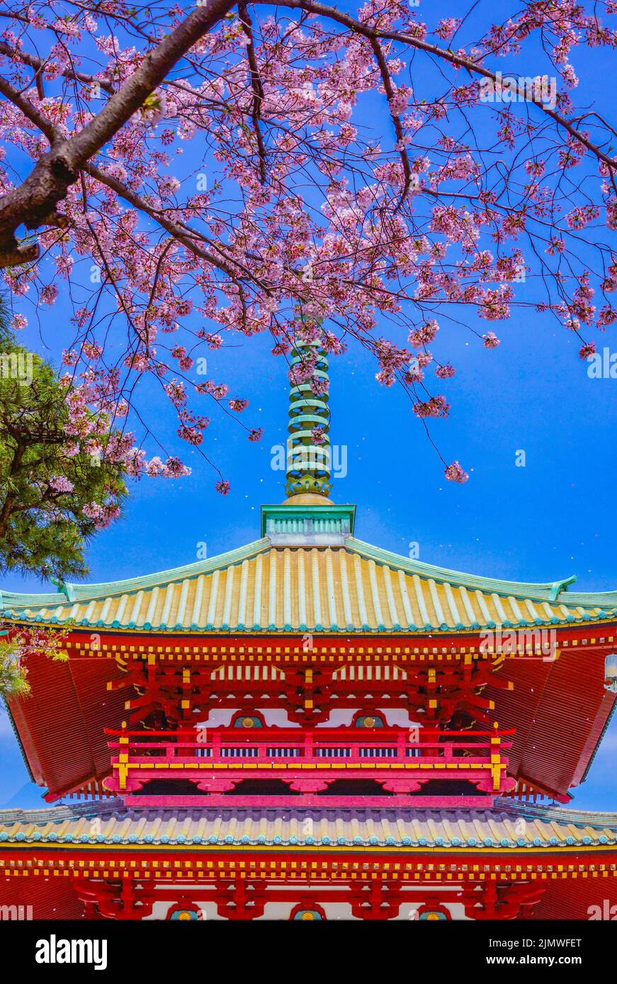 Sakurafubuki Hi Res Stock Photography And Images Alamy
