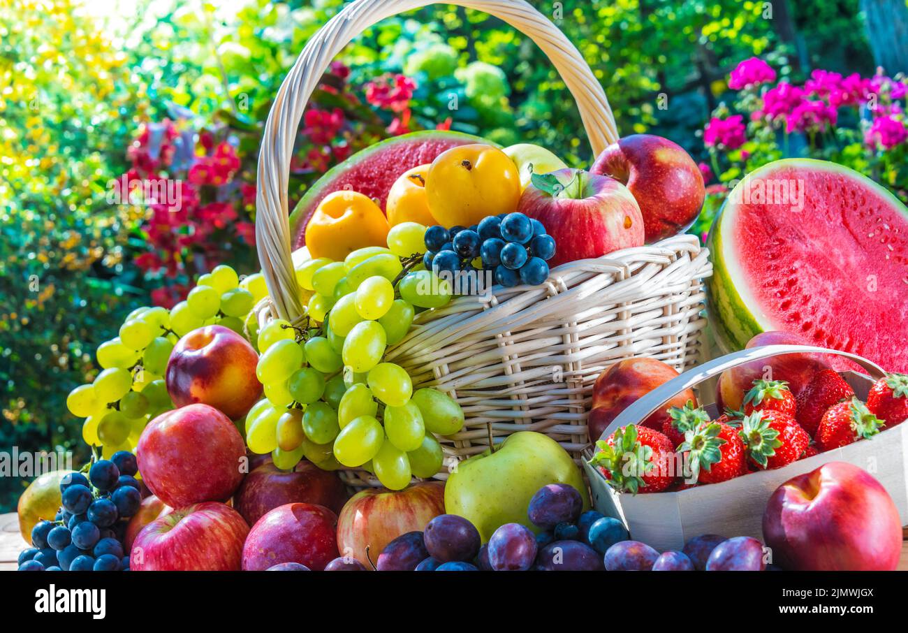 Variety of fresh ripe fruits in the garden. Balanced diet Stock Photo ...