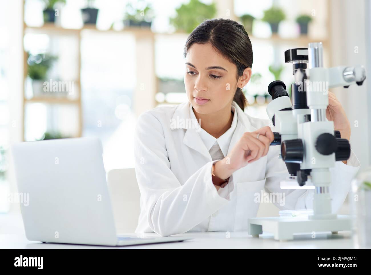 She found something on line that supports her theory. a young scientist using a laptop and microscope in a lab. Stock Photo