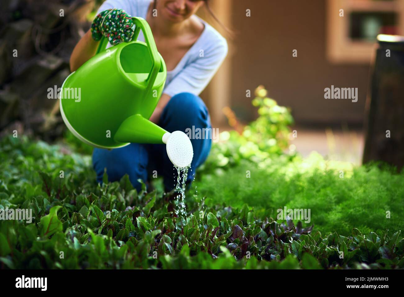 Water is the lifeblood of every farm. an unrecognizable female farmer