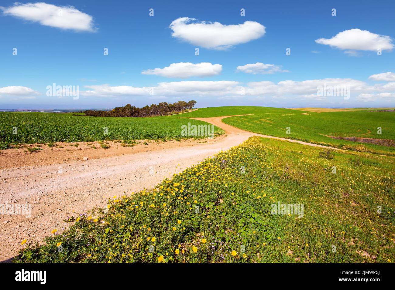 Wide dirt road crosses the valley Stock Photo