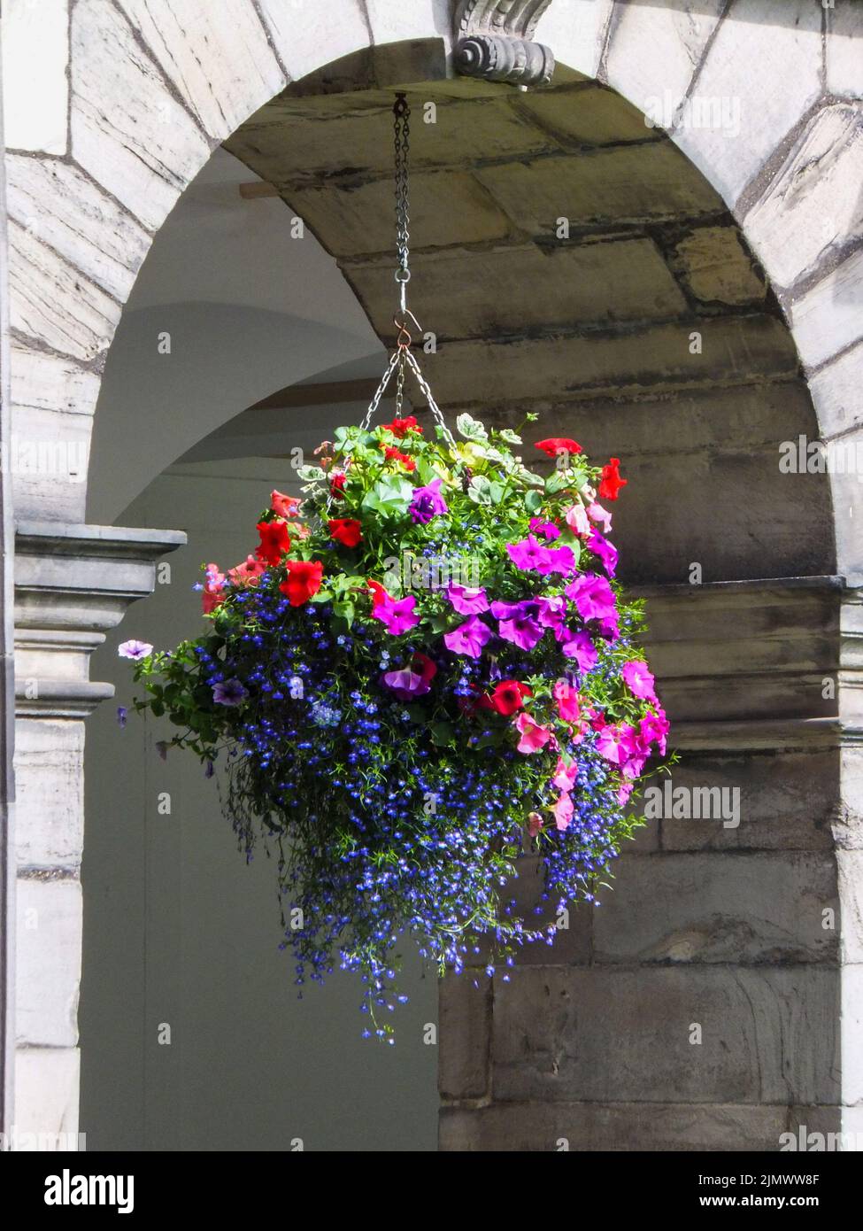 A basket of colorful petunias and lobelias hanging in an archway in Edinburgh, Lothian, Scotland, UK. Stock Photo