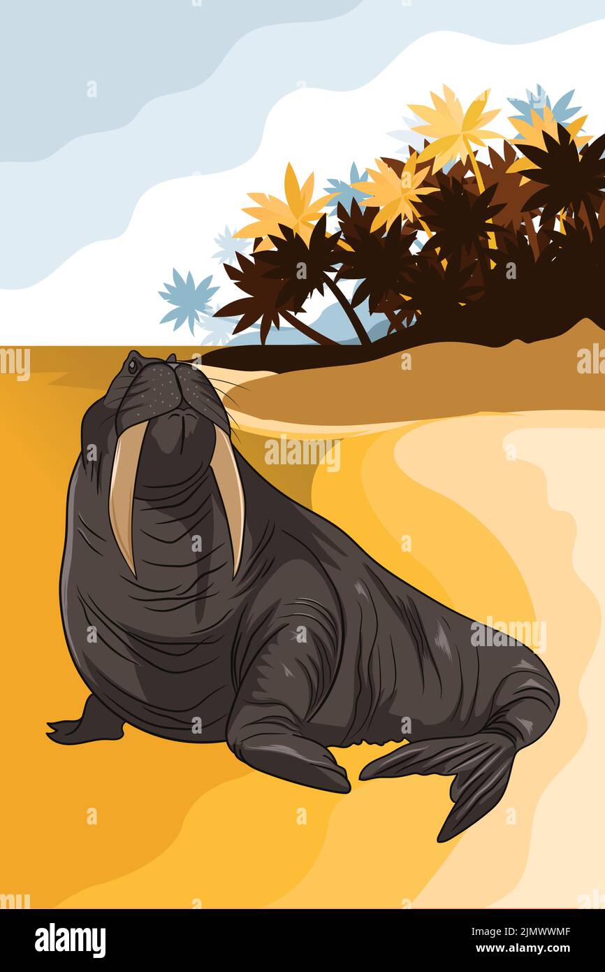 Walrus sitting on arctic sea beach vector cartoon illustration Stock Vector