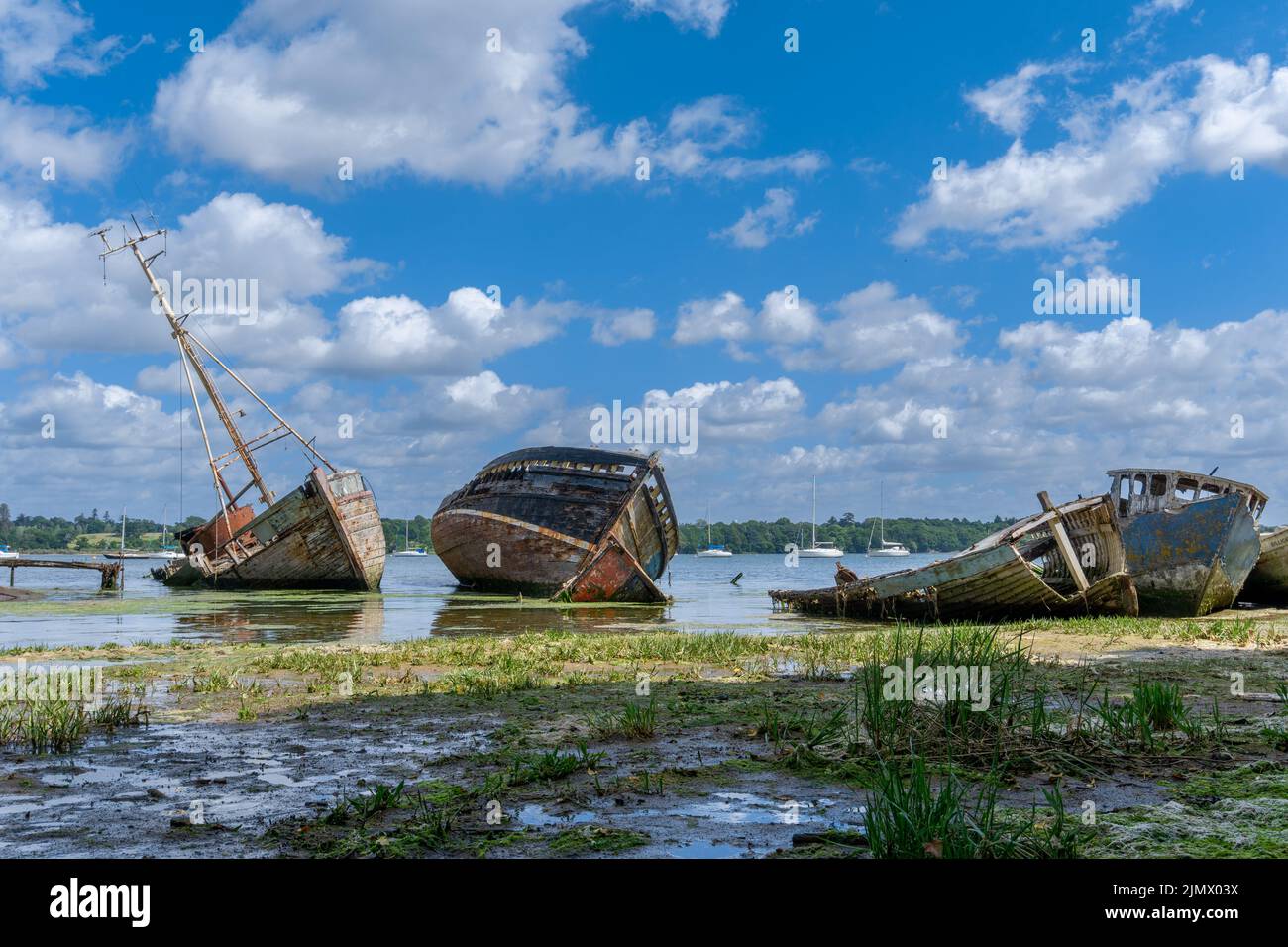 View of the boat graveyard at Pin Mill on the River Orwell in Suffolk at low tide Stock Photo