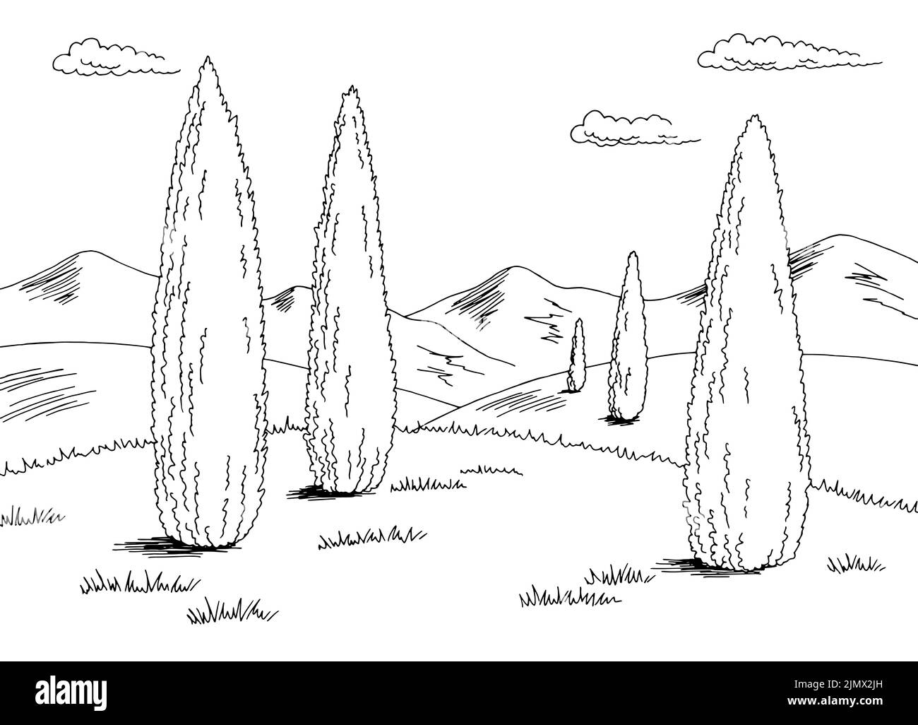 Cypress landscape graphic cypress black white sketch illustration