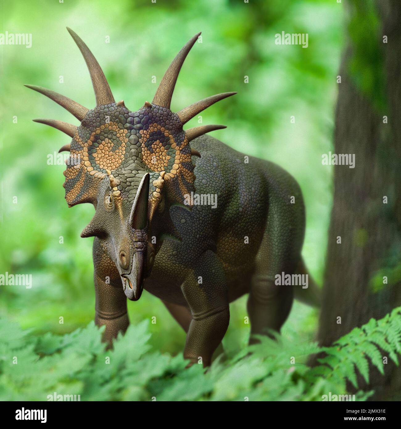 Styracosaurus in the forest Stock Photo