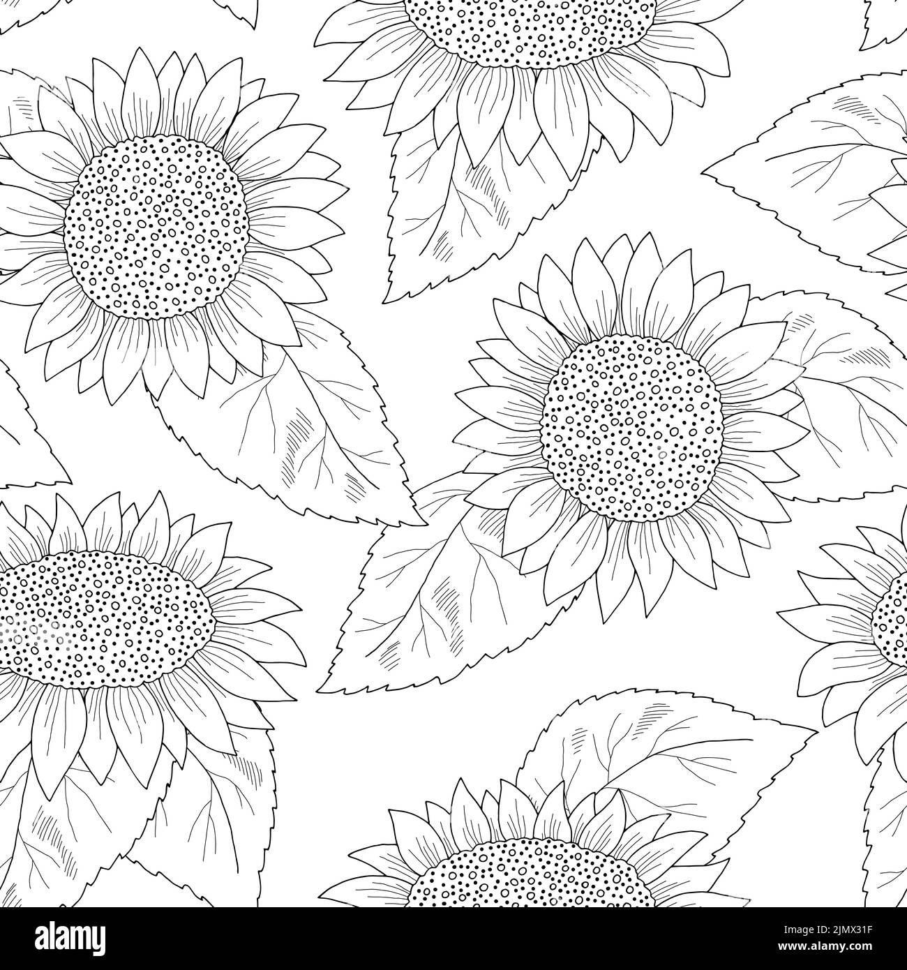 Seamless sunflower Black and White Stock Photos & Images - Alamy