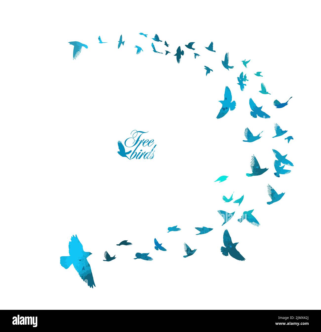 Bird watercolor. A flock of colorful birds. Mixed media. Vector ...