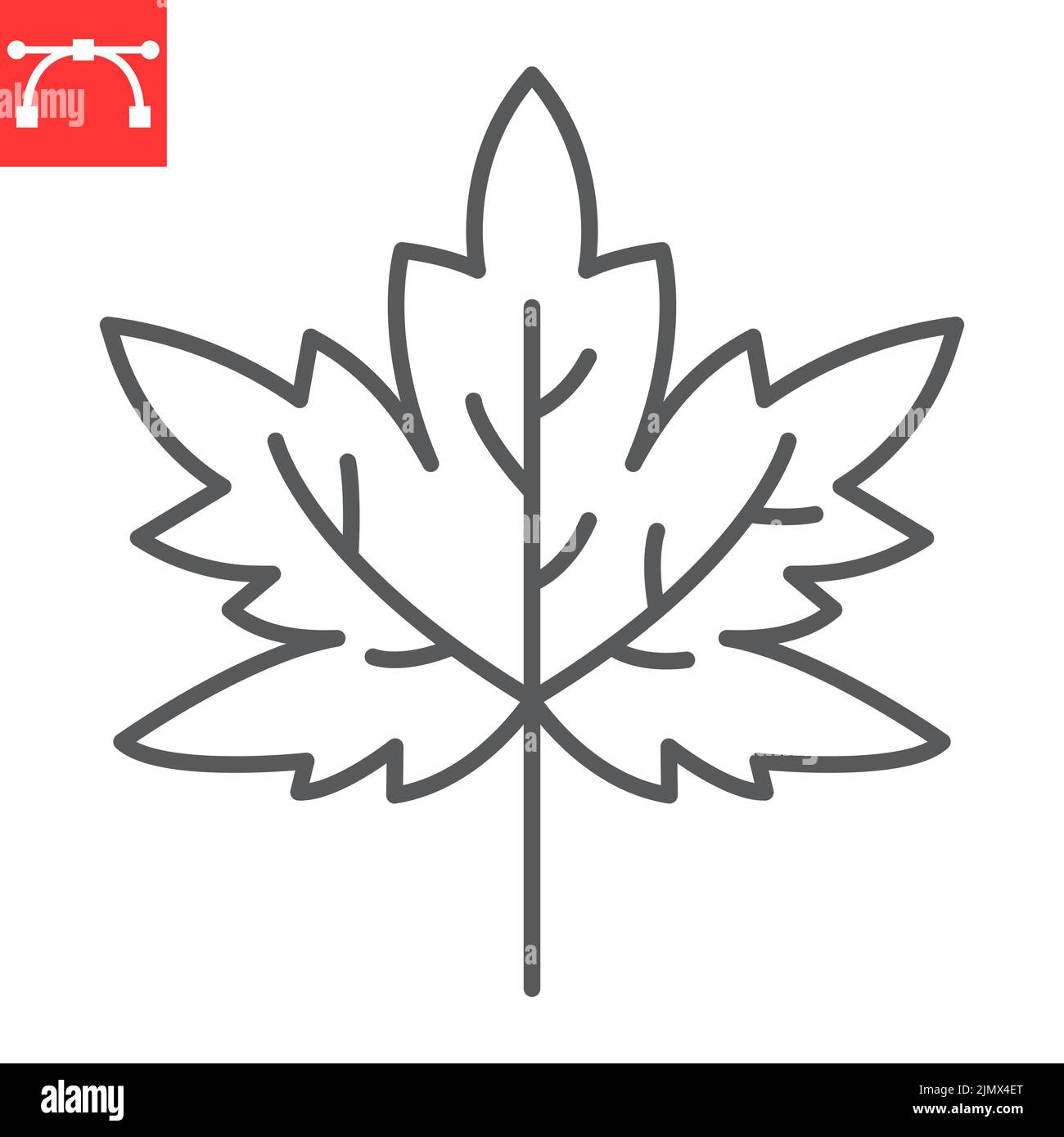 Maple tree leaf in line art style. Thanksgiving day, autumn season