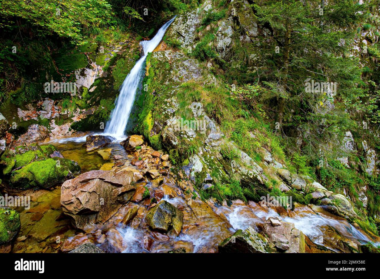 Famous forest in the Europe Stock Photo