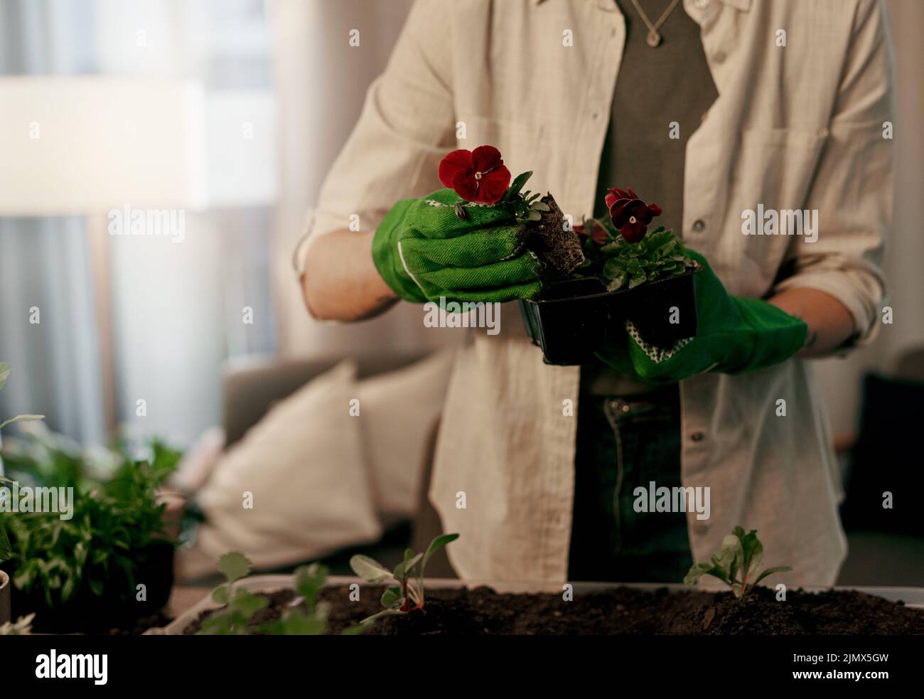 This profession requires you to have a delicate touch. an