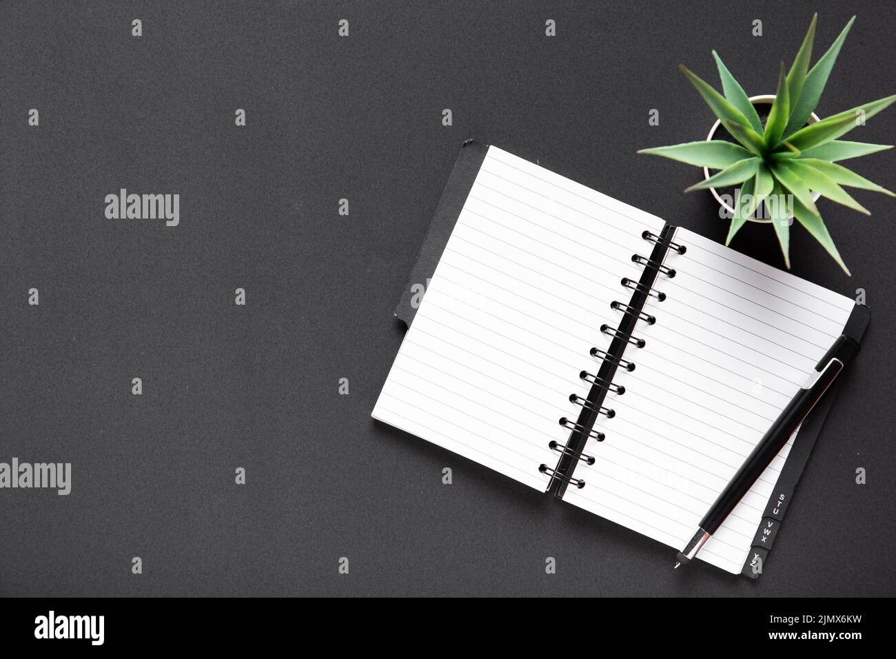 Flat lay notebook plant with copy space Stock Photo