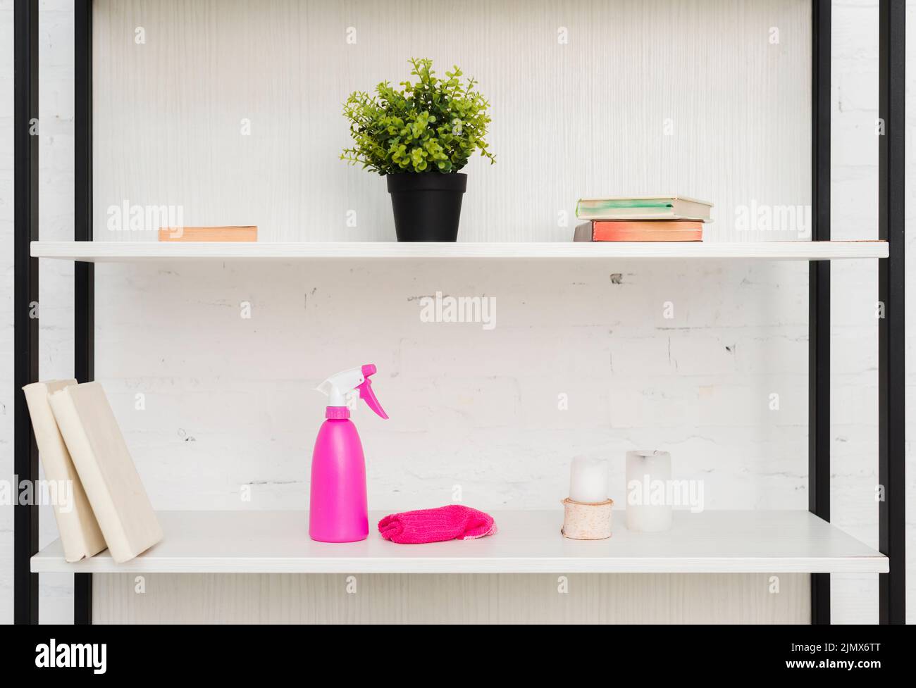 Front view shelves with plants Stock Photo