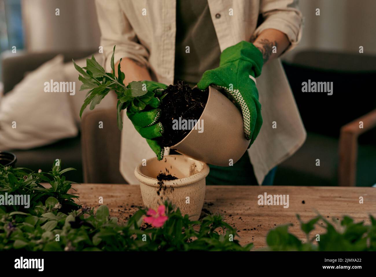 Adding my magic potting soil to the mix. an unrecognizable florist