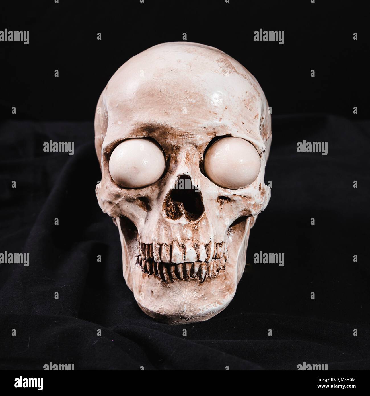 Creepy skull with white eyeballs Stock Photo