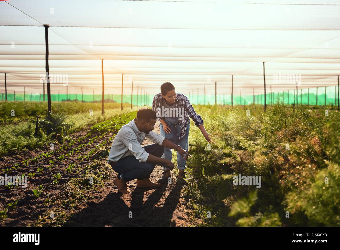 Come And Take A Look At These Full Length Shot Of Two Young Farmers