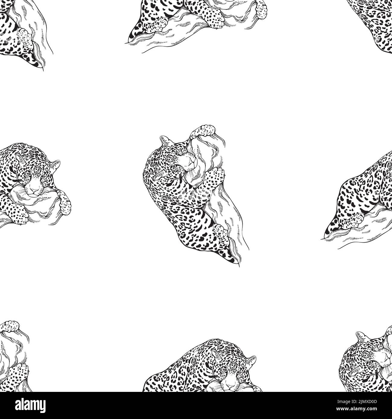 Seamless pattern of hand drawn sketch style leopard isolated on white ...